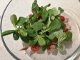 poppa in insalata poppa in insalata