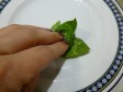 insalata di trippa insalata di trippa
