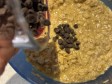 torta porridge con le gocce torta porridge con le gocce