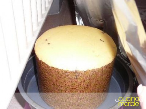 cella di lievitazione